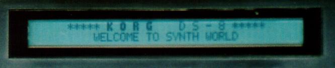 Korg DS-8, Pix Mai 2004 by deep!sonic