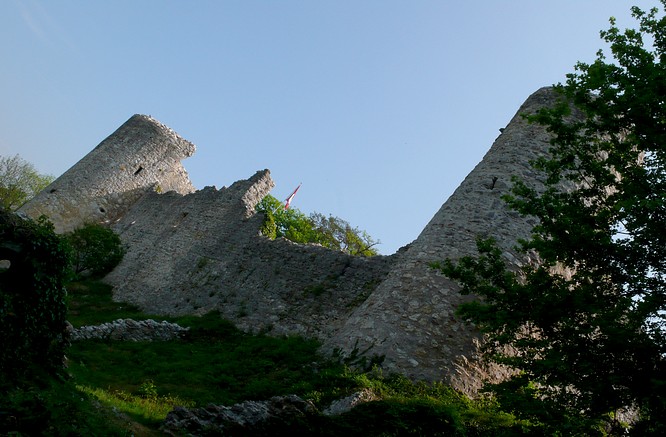 Burg Ruine Dorneck in Dornach