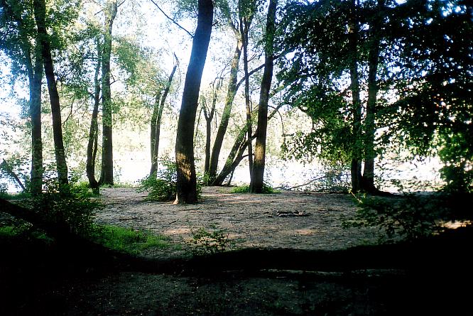 Chessiloch an der Aare in Olten