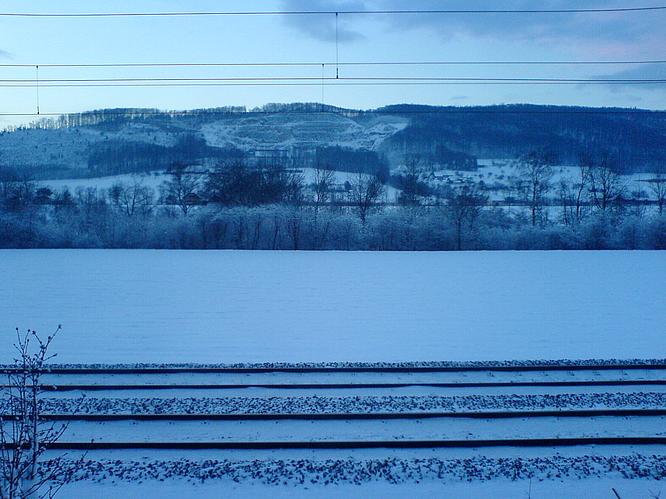 Feld in Wangen, Born