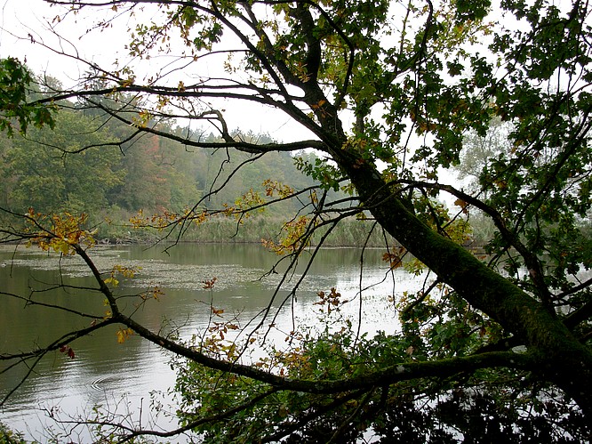 Seeregion zu Bleienbach