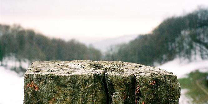 Bei Burgruine Froburg um Olten, Blick gegen Sden