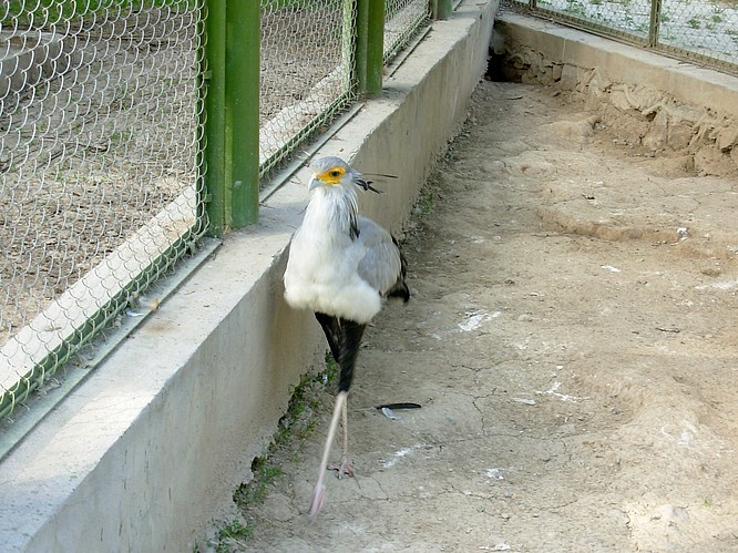 Zoo of Tashkent