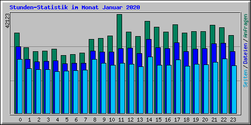 Stunden-Statistik im Monat Januar 2020